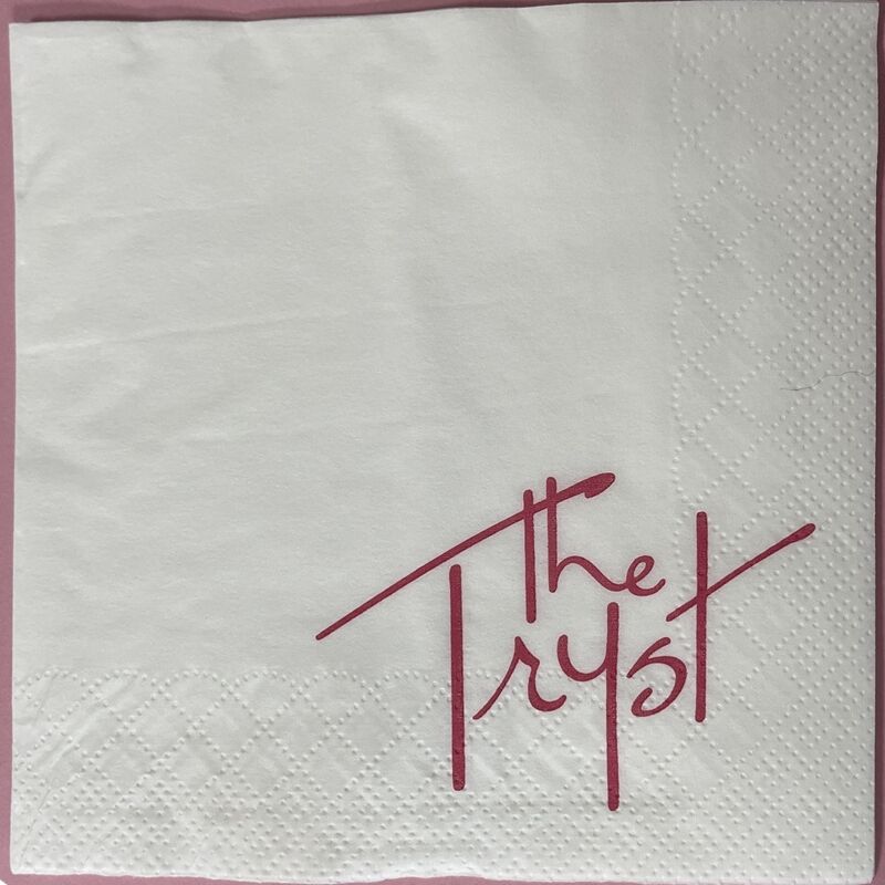 Printed Napkins 25*25cm, Premium Disposable Restaurant Napkins for Cross-Border Holidays, Parties, and Gatherings